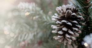 GRIT Holiday Traditions